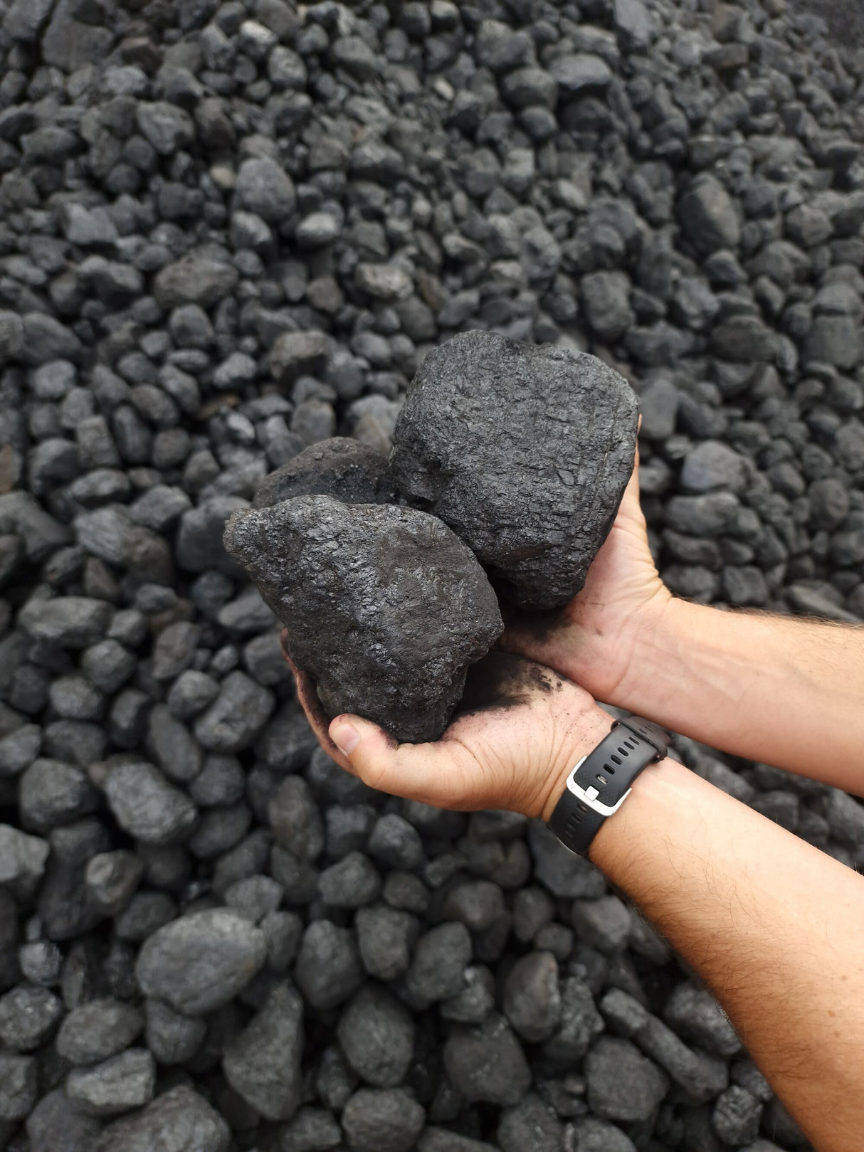Colombian House Coal & Firewood Offer