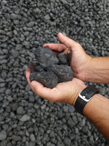 Anthracite Large Nuts